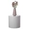 Contemporary Decorative Modern Fiberglass Pillar Column Flower Stand -Photography Props - Stylish Cylinder Shape Versatile Pedestal for Wedding, Living Room, or Dining Room Decor